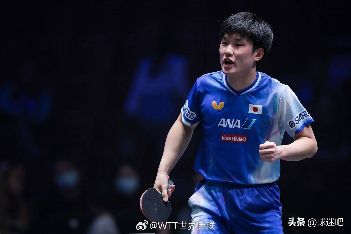 法国队横扫中国队，张本智和扛起全队