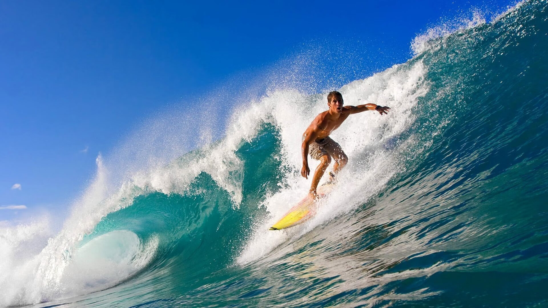草根逆袭与豪门砥柱，几内亚奇迹晋级，德里赫特英超赛场扛起争冠大旗